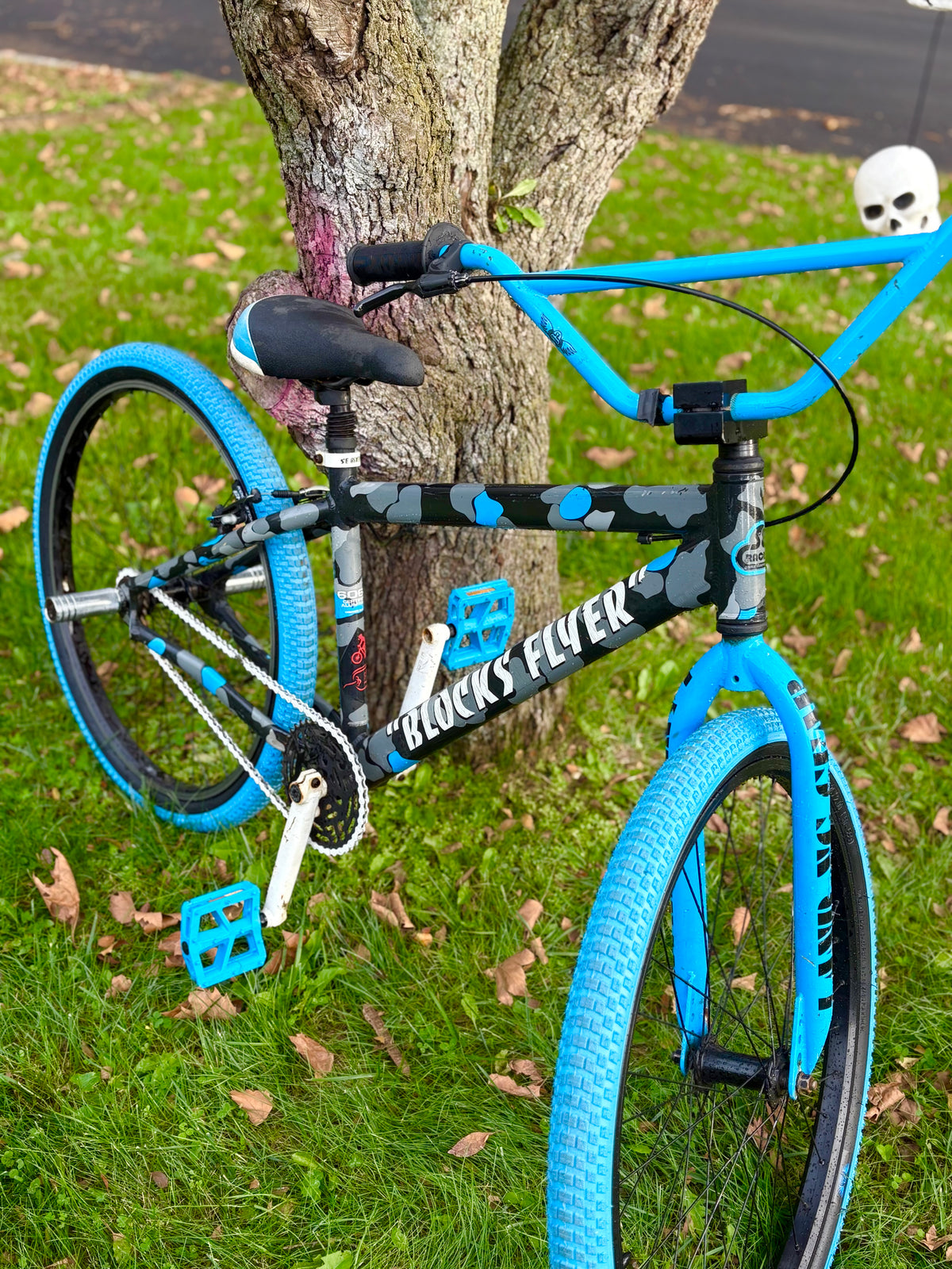 SE Blocks Flyer giveaway bike